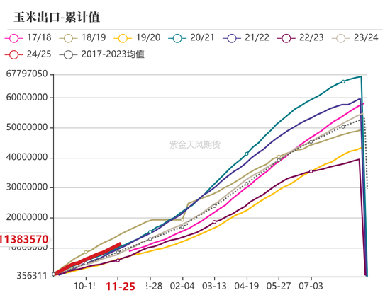 玉米：静待花开